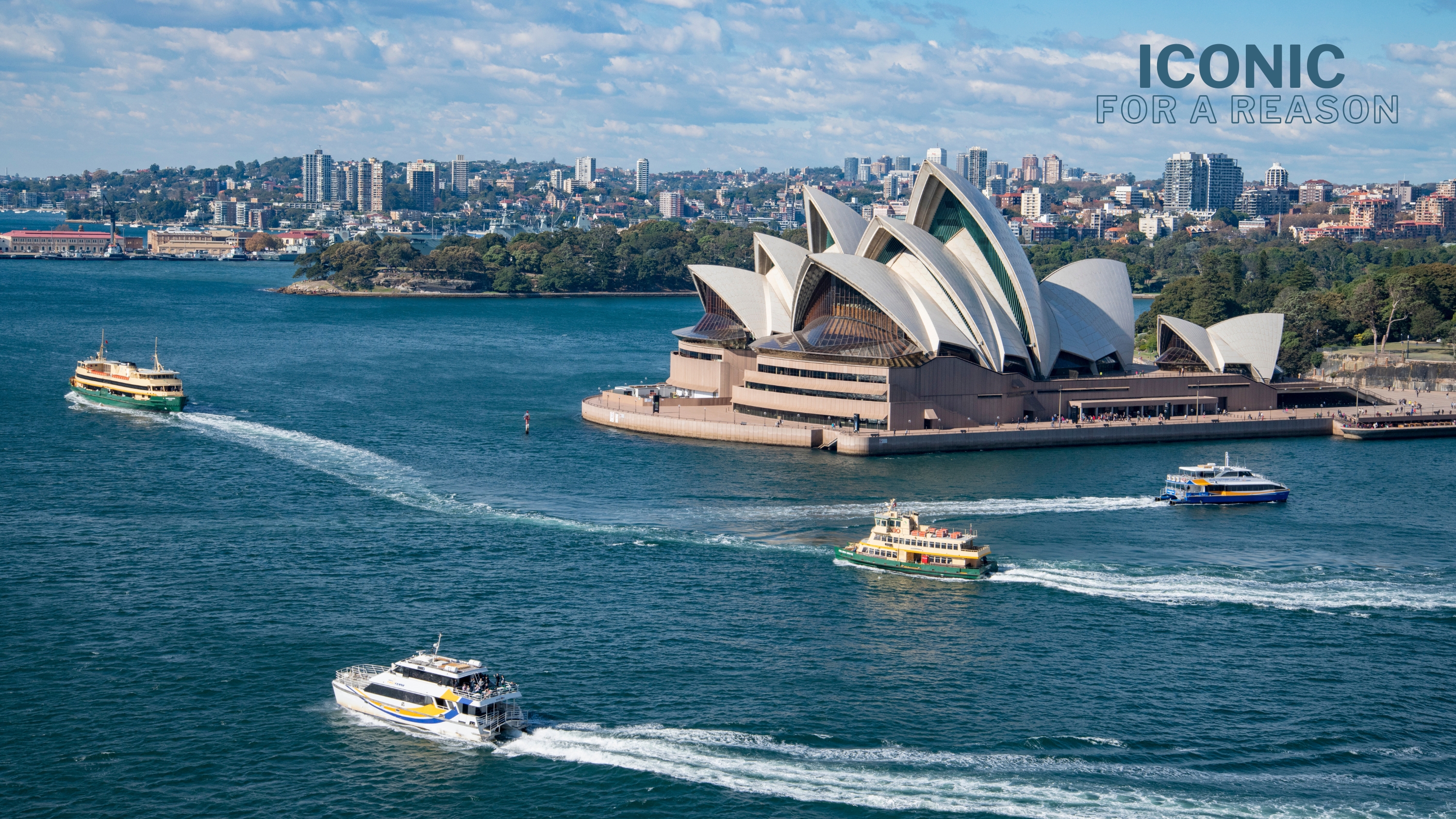 Wavii Yachts — Sydney Harbour cruise 11