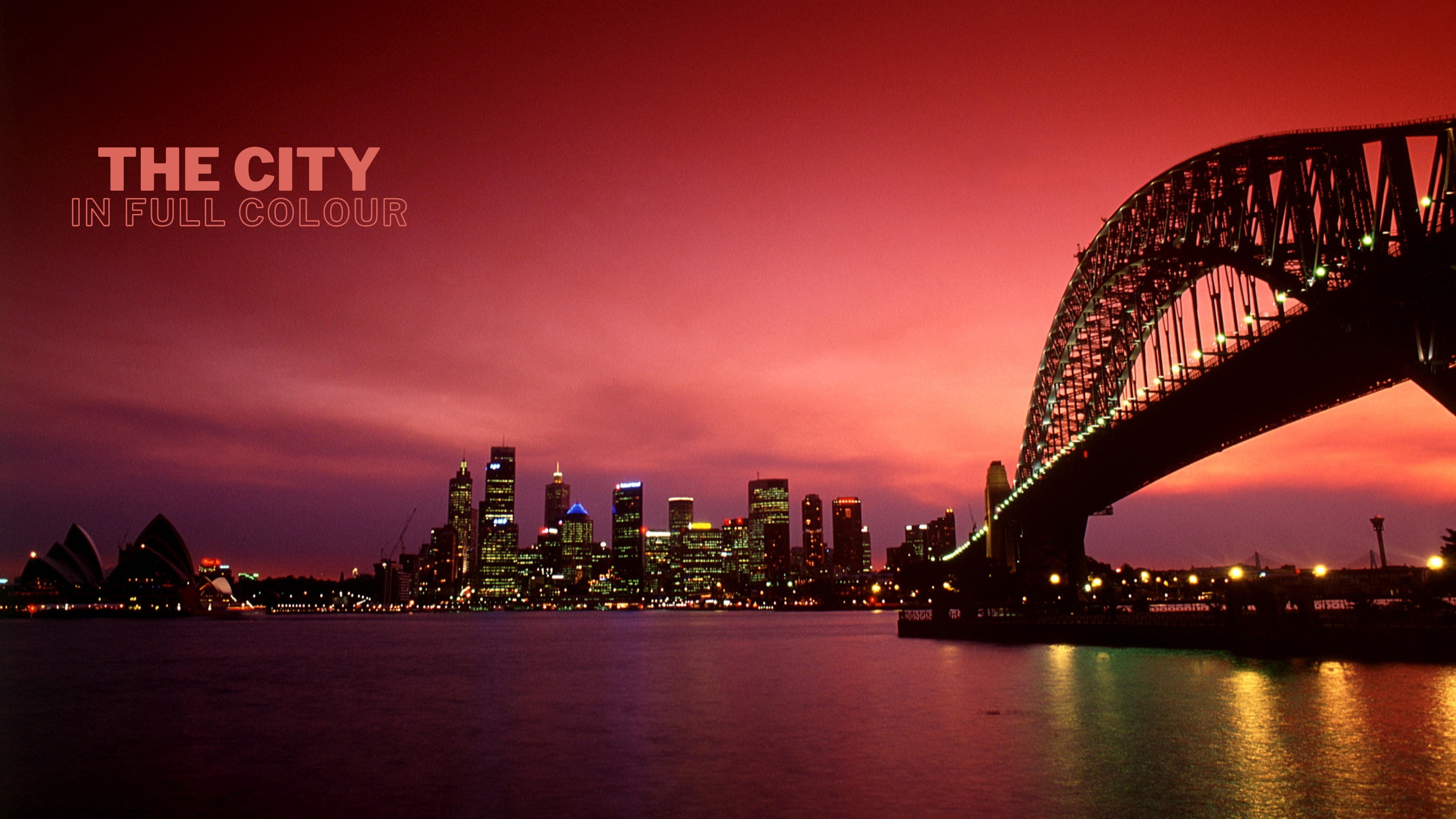 Wavii Yachts Sydney by Night cruise 6
