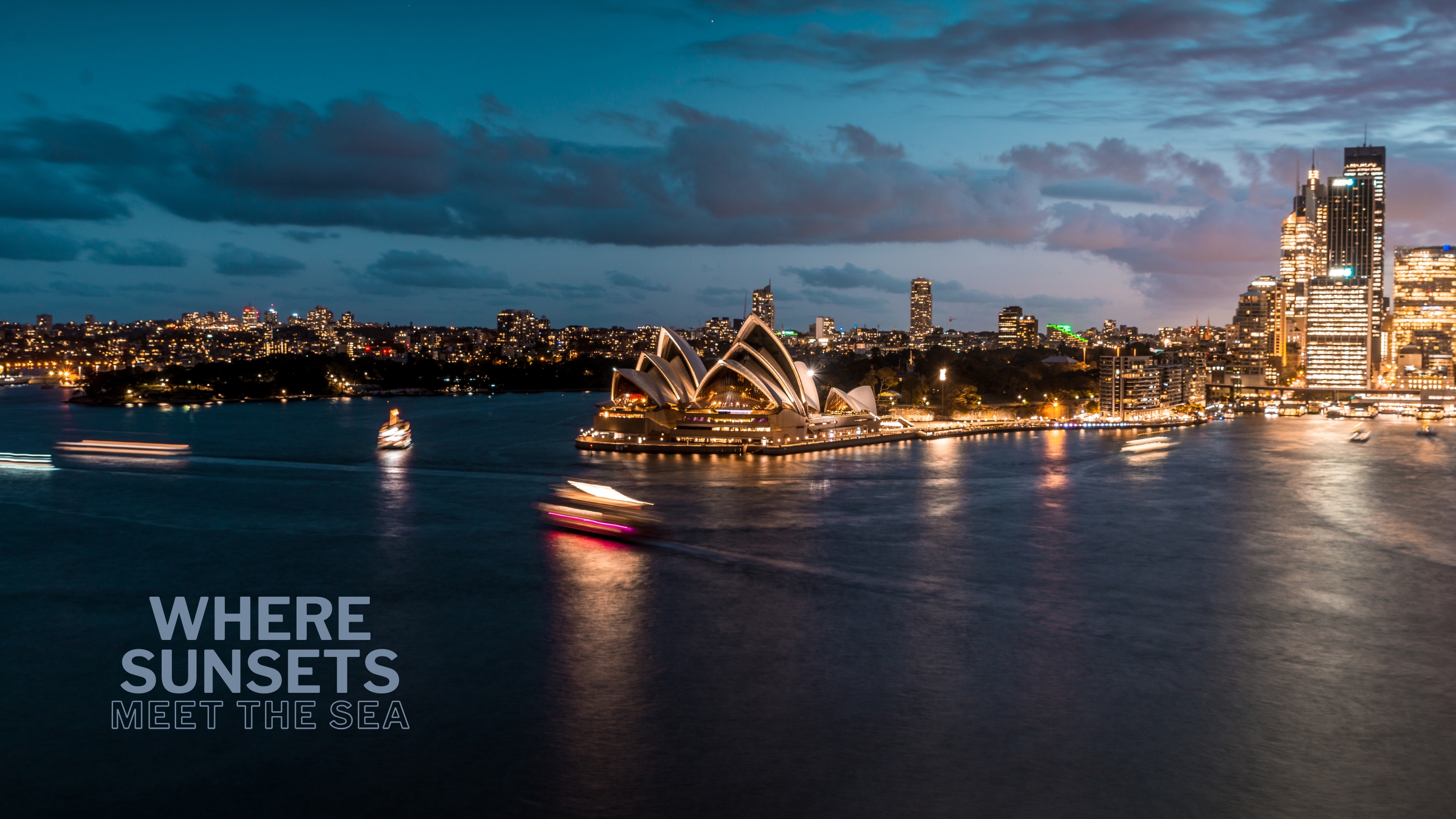 Wavii Yachts Sydney by Night cruise 9