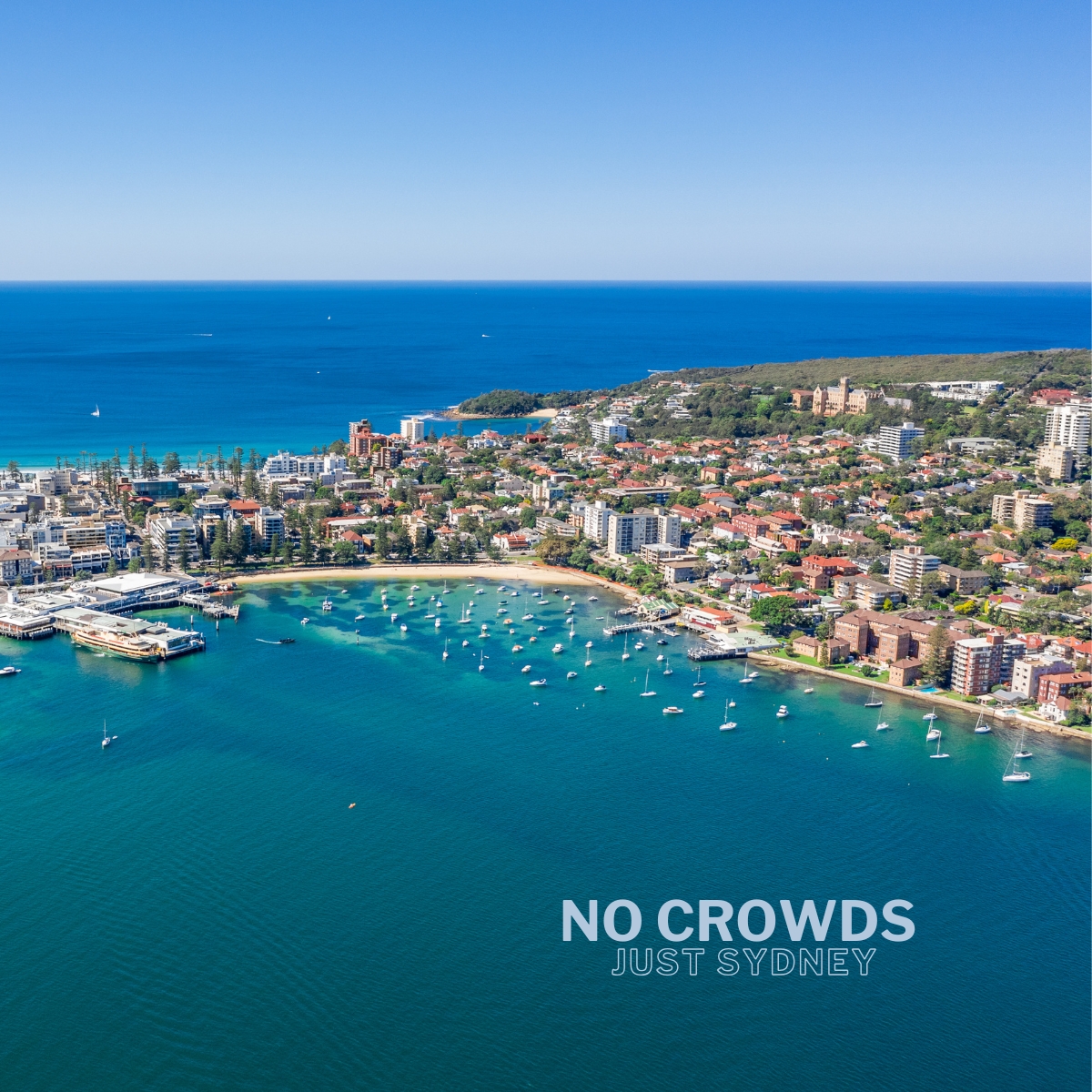 Wavii Yachts — Sydney Harbour cruise 3