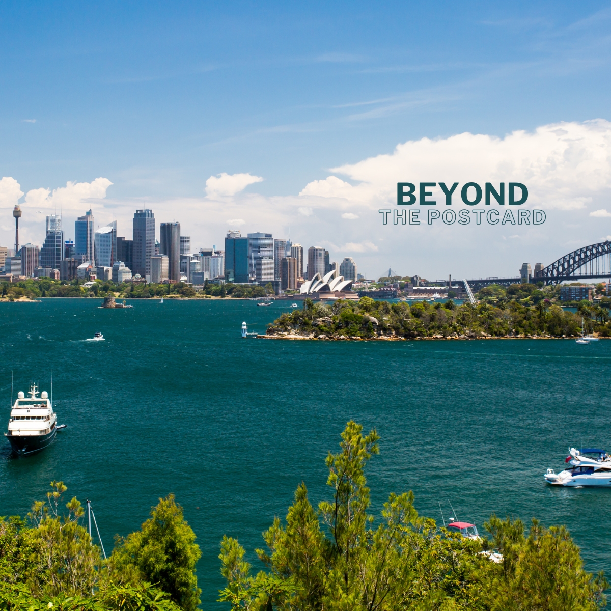 Wavii Yachts — Sydney Harbour cruise 8