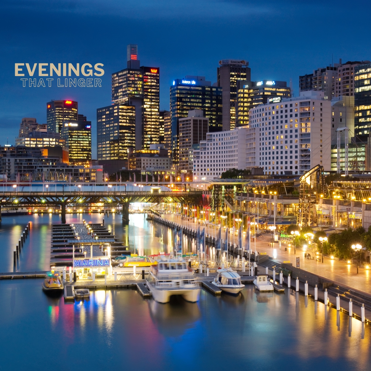 Wavii Yachts — Vivid Sydney harbour cruise 17