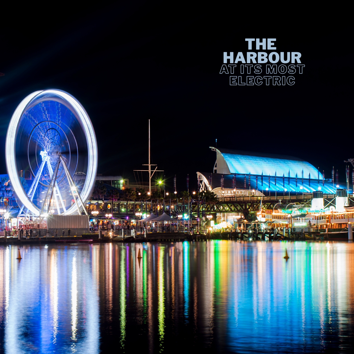 Wavii Yachts — Vivid Sydney harbour cruise 1